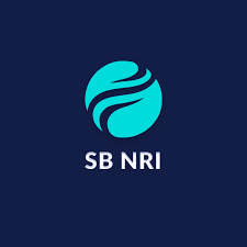 Simplifying Banking For Nris Sbnri