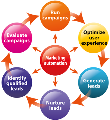 Kentico Web Development