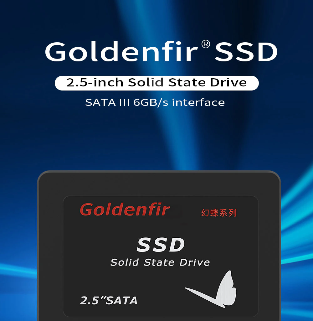 Goldenfir Sata Iii Ssd 256 High Speed Solid State Drive For Laptop Desktop 3 Year Warranty
